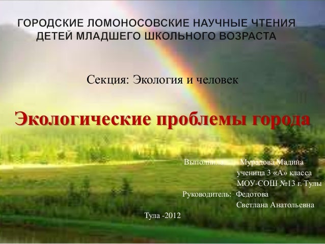 Экологические проблемы городов Экологические проблемы городов